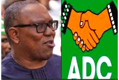 I'm Still In LP, ADC Coalition Is For 2027 Elections — Peter Obi