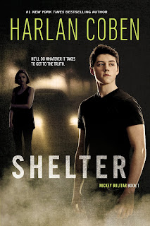 Harlan Coben's Shelter - VietSub  (2023)