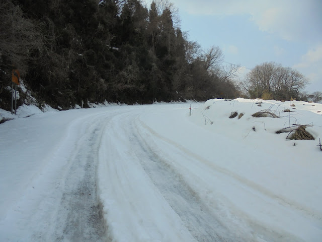 ペンション駐車場展望台に登る道でまだ雪が残っていました