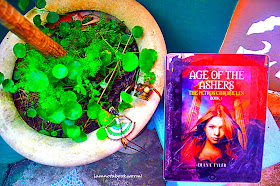 Age of the Ashers (The Petros Chronicles #1) by Diana Tyler | ARC | A Book Review by iamnotabookworm!