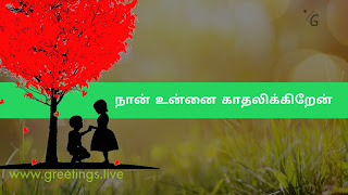 Love tree a boy proposing to girl  " Nāṉ uṉṉai kātalikkiṟēṉ"  love proposal in Tamil Language 