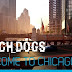 Welcome to Chicago