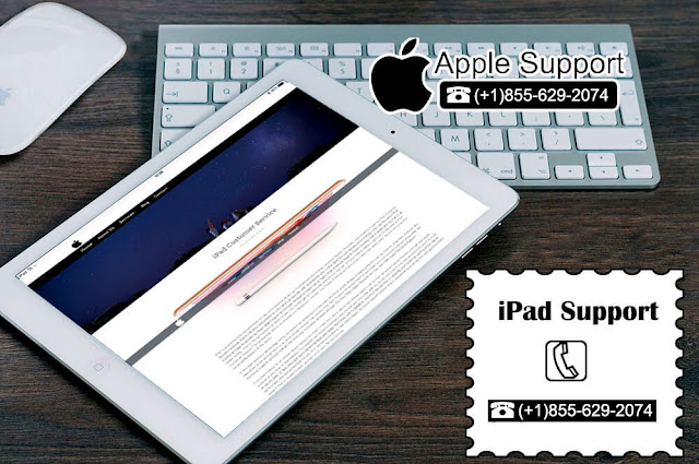 ipad support, ipad support number, ipad support phone number, ipad help, apple ipad support, apple ipad support number, apple ipad support phone number, ipad tech support, ipad tech support number, ipad tech support phone number, ipad technical support, ipad technical support number, ipad technical support phone number, ipad customer support, ipad customer support number, ipad customer support phone, ipad customer support phone number, ipad customer tech support, ipad customer tech support number, apple ipad customer support, apple ipad customer support number