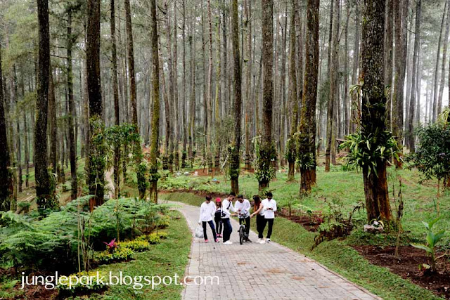 Tempat Family Gathering di Lembang Bandung