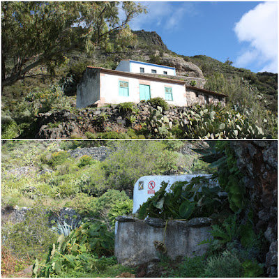 PR-TF-2  VALLESECO (Santa Cruz de Tenerife) A TABORNO, sendero en dirección a Las Casas de los Berros en la cabecera del Barranco de Valle Luis