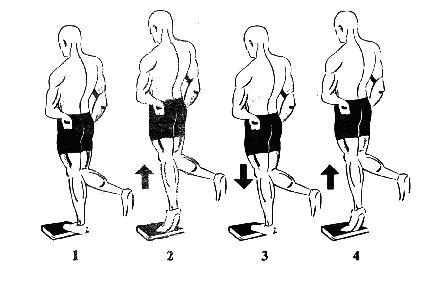 Ilustrasi latihan calf raises