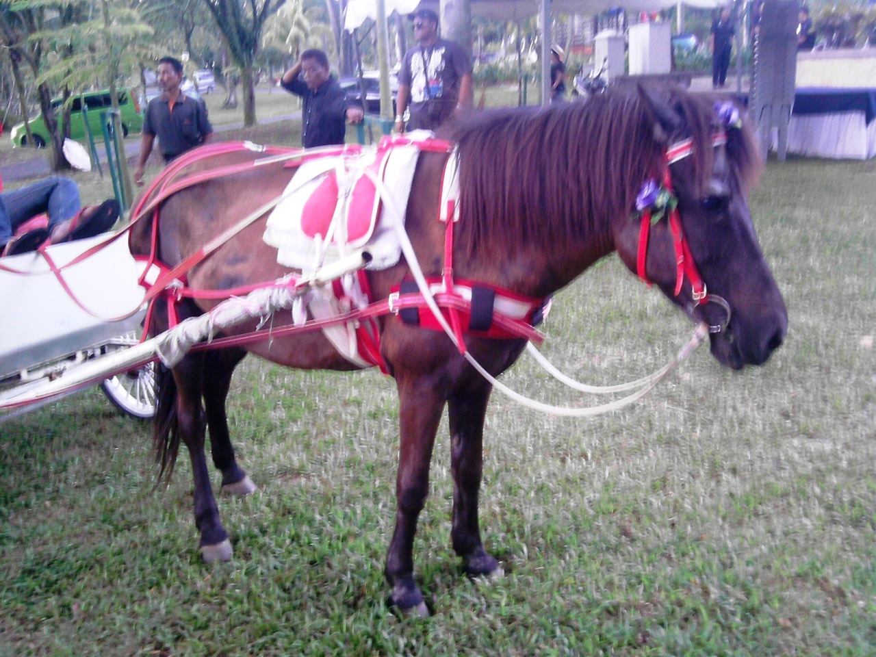 Ubat Telinga Kanak-kanak - Berubat k