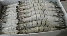 http://www.thenational.ae/uae/courts/man-jailed-in-dubai-for-stealing-910kg-of-shrimp