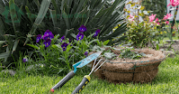 Gardening-Tips-for-Beginners-Turn Your-Backyard-into-a-Green-Oasis