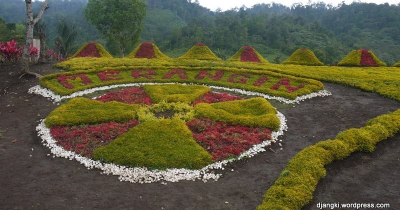 Hesti s Garden Keindahan Taman  Bunga  yang  Menarik Ribuan 