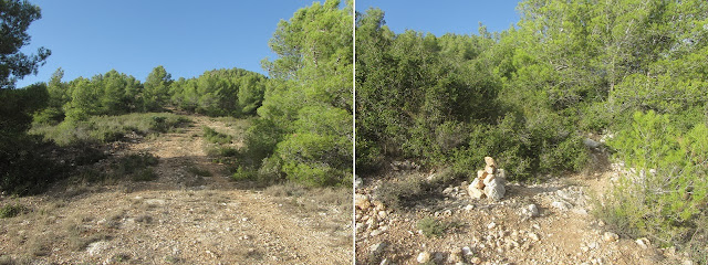 El Castellot-Puig de la Cogulla-Torre de Cal Pascol, camí en direcció al Puig de la Cogulla