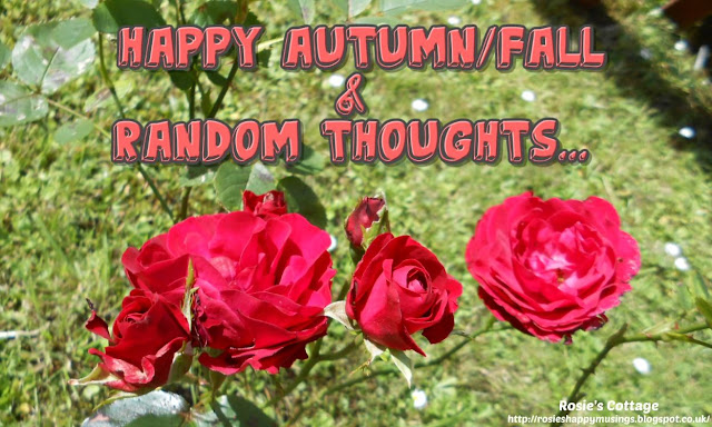 Happy Autumn/Fall & random thoughts as the darker evenings start to arrive...