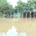 Yobe: Flood submerges 500 farmlands, destroys over 37 houses