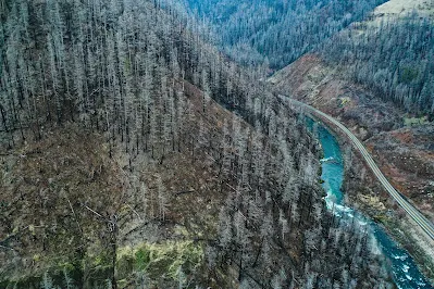Road along River in Valley