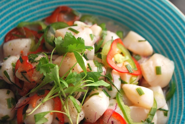 Ceviche for Beginners: Easy Key Lime Scallop Ceviche ...