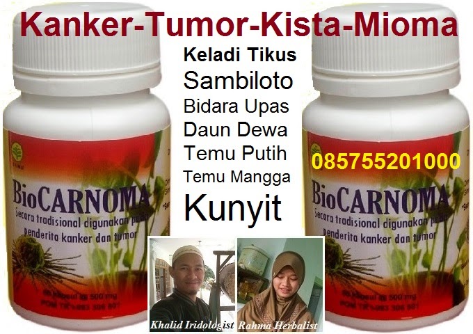 BIOCARNOMA Obat herbal kanker kista mioma Surabaya ...