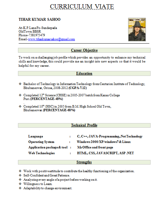 10+ Fresher Resume Templates Download PDF