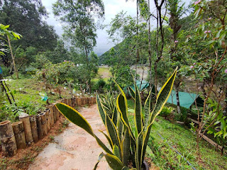 D'Idiama Campsite, Kg. Pahu, Kiulu