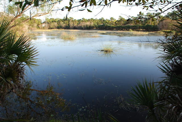 Peace River & Port Charlotte Beach Park