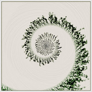 The swirl made with random walking.