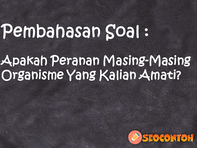 organisme apakah yang dominan dalam ekosistem yang kamu amati, rantai makanan, konsumen tingkat 3, apakah maksud pernyataan ekosistem merupakan suatu sistem yang dinamis, konsumen tingkat 1, konsumen tingkat 2, kumpulan beberapa spesies yang terdapat dalam suatu habitat disebut, konsumen dalam rantai makanan adalah, Apa peran organisme dalam rantai makanan, Bagaimana peran setiap organisme dalam ekosistem, Apakah peranan produsen bagi organisme, Bagaimana peran produsen dalam ekosistem, Apakah ciri-ciri kingdom dari organisme yang Kalian amati, Berdasarkan hasil pengamatan Kalian tergolong kingdom apakah organisme yang Kalian amati, Bagaimanakah pengelompokan yang Kalian lakukan terhadap makhluk hidup yang telah Kalian amati