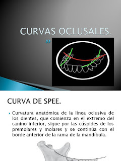   curva de spee, curva de wilson, curva de spee y wilson, curva de monson