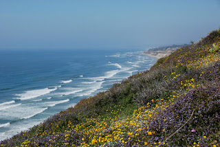 Torrey Pines Beach State Park in Spring California