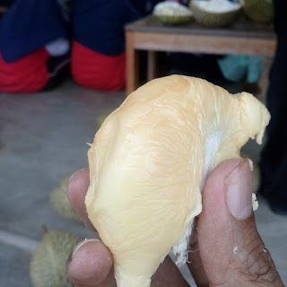 Indahnya Balik Kampung Musim Buah, Durian Kampung, 