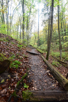 Ontario HIkes.