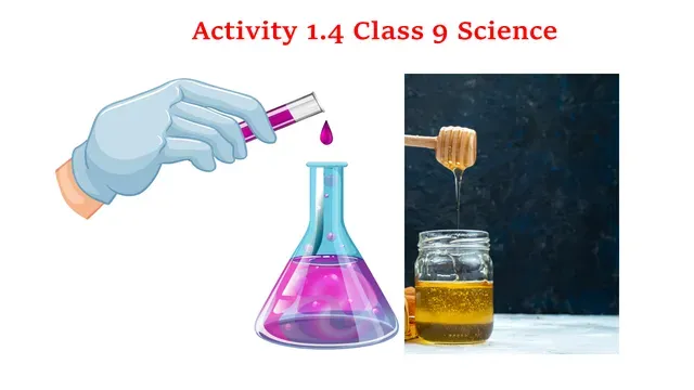 Explain NCERT activity 1.4 Class 9 Science with conclusion