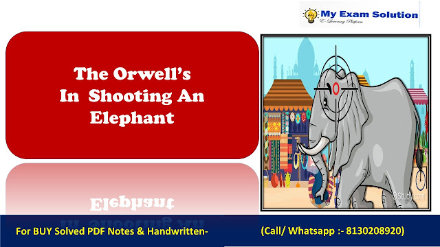 Describe Orwell’s experience of shooting an elephant in Burma in detail