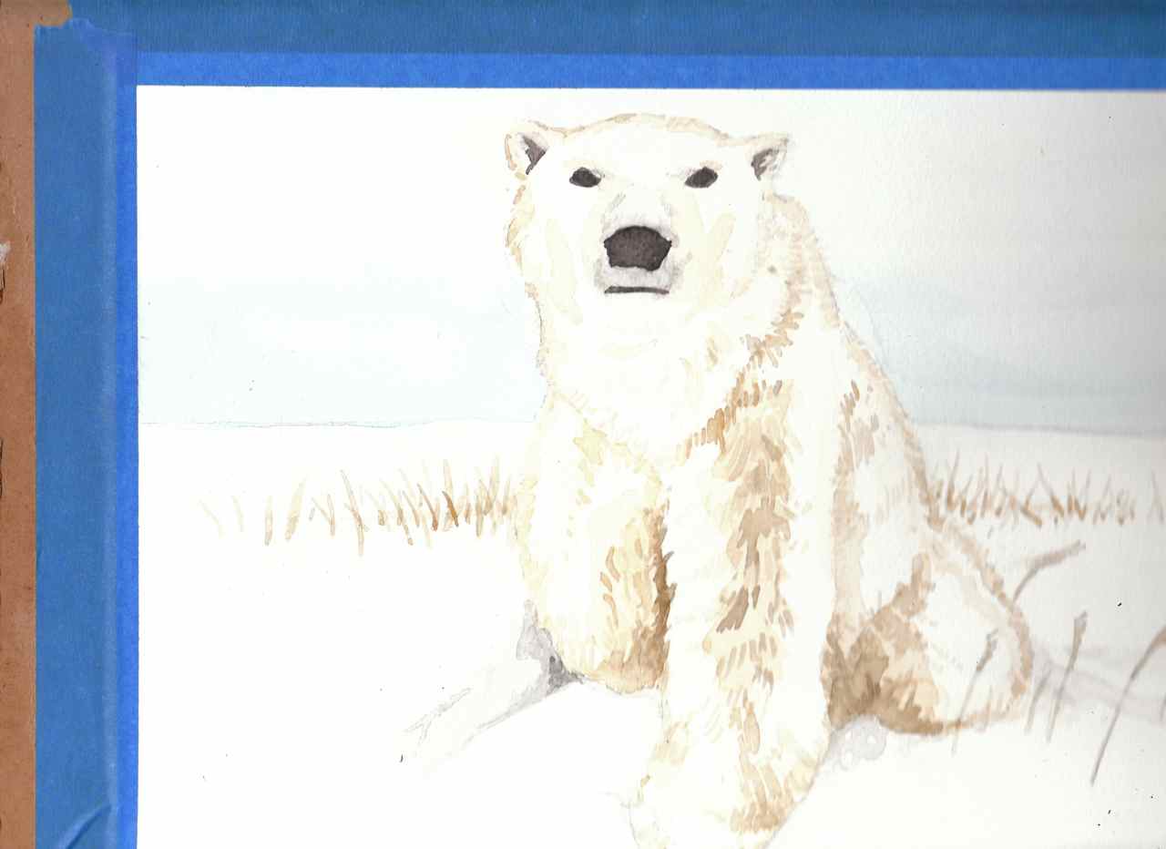 WIP: Polar bear for watercolor class | artisticINSURRECTION