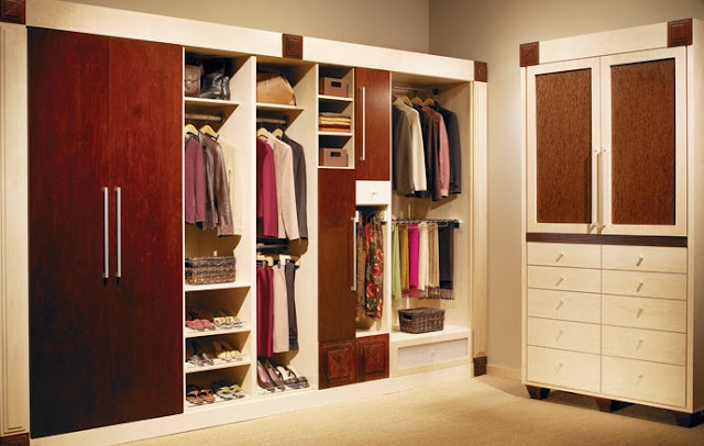 modern wood closet systems with door design