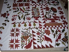 BOAF Top w one border