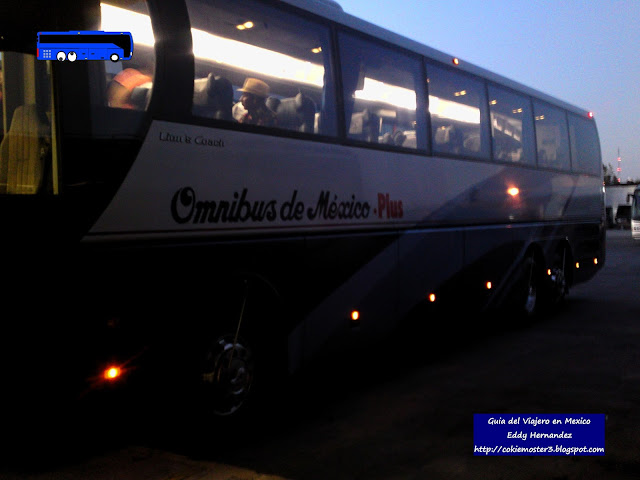 Man Lion´s Coach