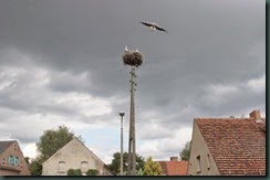 Blick aus unserem Fenster Blick aus unserem Fenster