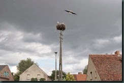 Blick aus unserem Fenster