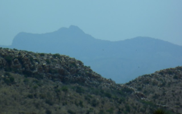 P1110686