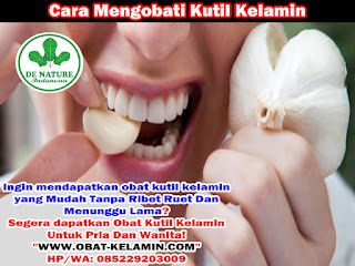 Obat Kutil Kelamin