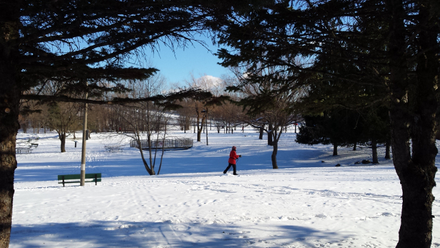 Parc Michel Chartrand en hiver