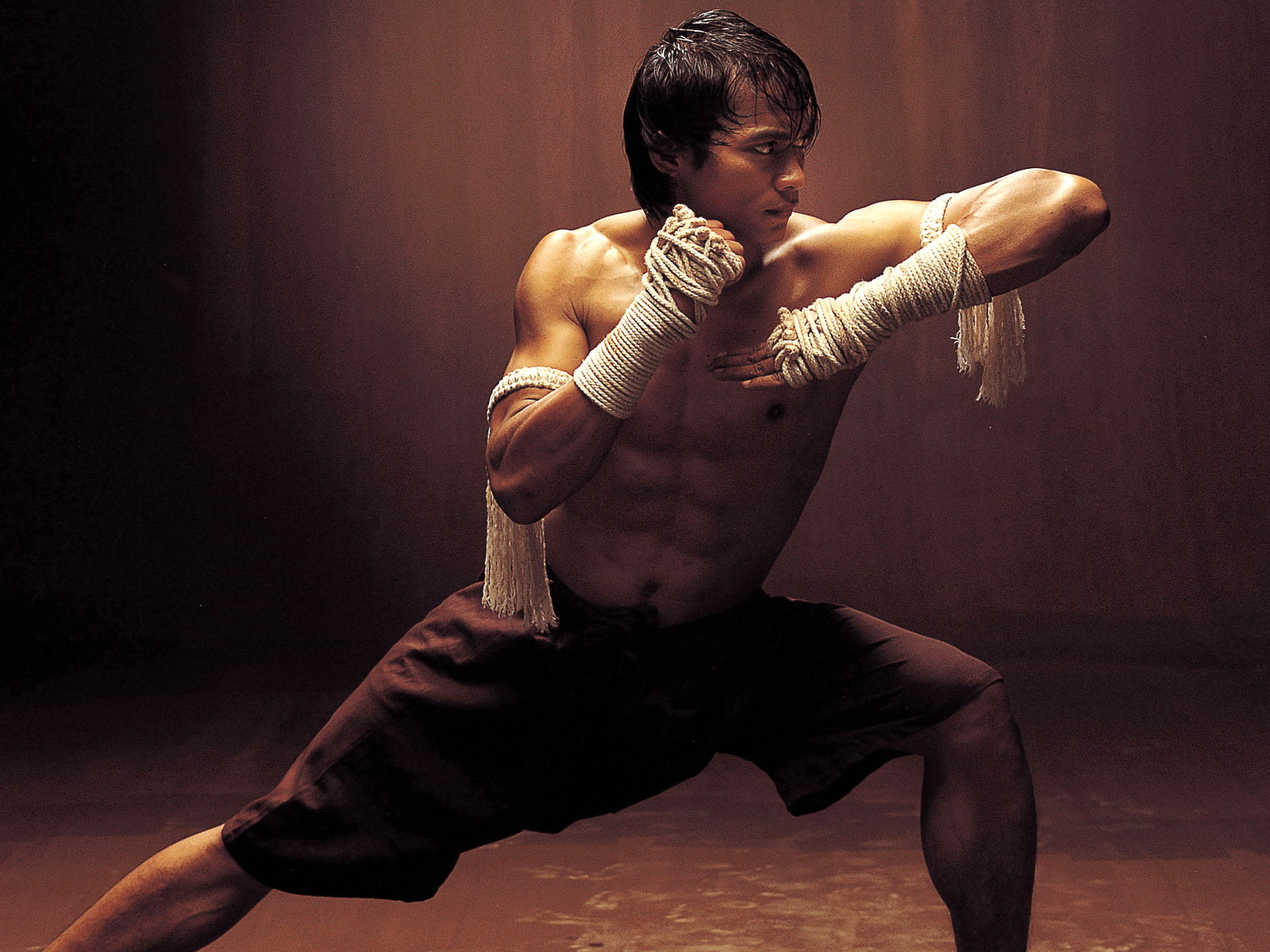 Wallpapers: download tony jaa ong bak 3 wallpapers, download tony jaa ...