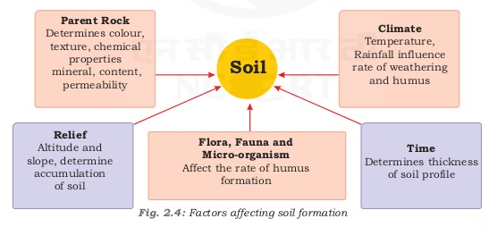Notes of Ch 2 Land, Soil, Water, Natural Vegetation and ...