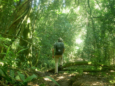fotos do trekking caminhada pedestrianismo no Morro Santana em Porto Alegre, RS, Carlos Ribeiro, Vivendo Porto Alegre Porto Imagem