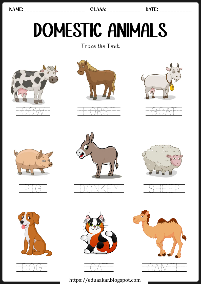 Domestic Animals worksheets
