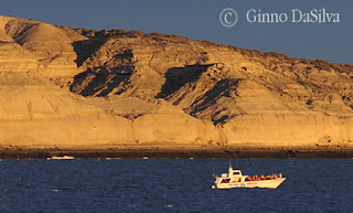 Atardecer en Península Valdés, al ritmo del Avistaje de Ballenas, naturaleza a pleno