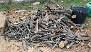 A big pile of small sticks