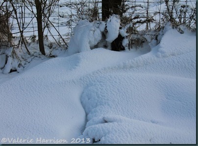 6-drifts
