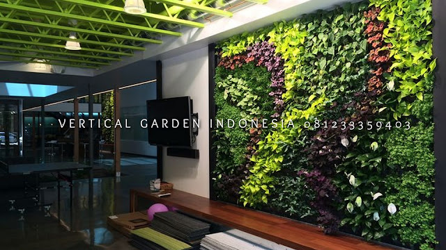 VERTICAL GARDEN INDONESIA SPESIALIS JASA PEMBUATAN VERTICAL GARDEN DI BANJARNEGARA JAWA TENGAH DAN DI SELURUH WILAYAH JAWA TENGAH DENGAN TENAGA YANG PROFESIONAL DAN DAPAT DI PERCAYA YANG SELALU MENGUTAMAKAN SEBUAH MUTU DAN KUALITAS PEMASANGAN VERTICAL GARDEN/TAMAN DINDING, JASA TUKANG TAMAN VERTICAL BANJARNEGARA JAWA TENGAH, JASA VERTICAL GARDEN BANJARNEGARA JAWA TENGAH