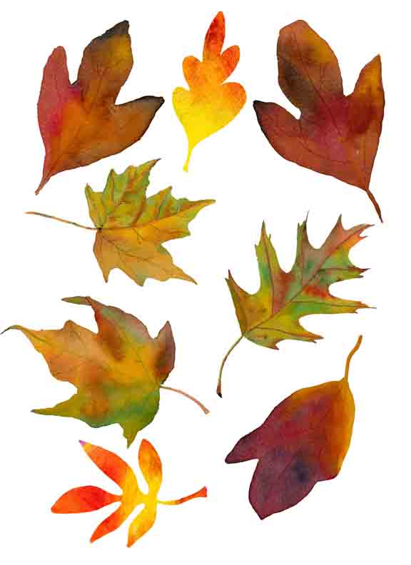 Printable Fall Leaves 1