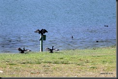 Valley Lake Mt Gambier